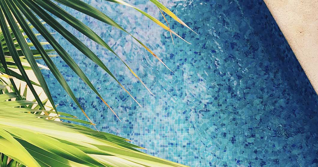 Swimming pool with palm leaves | Pool Care Following a Hurricane Edgewater Pool & Spa Services